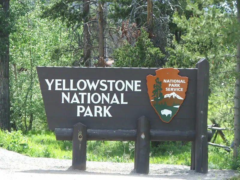 yellowstone national forest