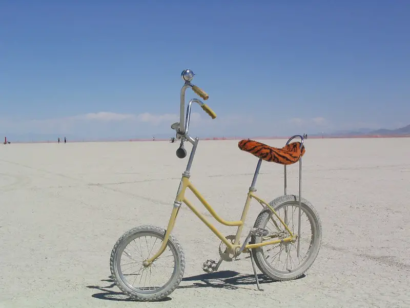 bike with banana seat